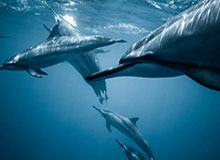 从“升学路”到“条条大路”中青赛推动校园足球发展